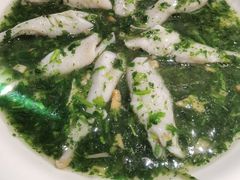 荠菜松茸烩黄鱼-老人和饭店(淮海中路店)