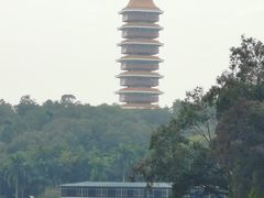-三水森林公园