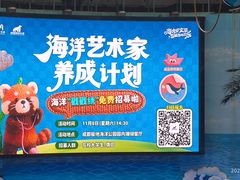 -海合安成都极地海洋公园