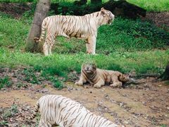 -杭州野生动物世界