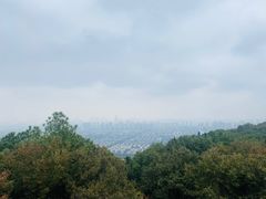 -灵岩山风景区