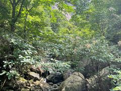 -罗田天堂寨风景区