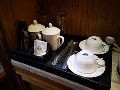 -长沙小天鹅戴斯酒店