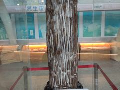 -福州科技馆