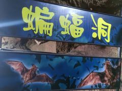 -游龙石文化科普馆