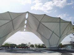 -东平国家森林公园