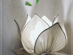 -有才叔北京时间涮肉(紫薇尚层店)