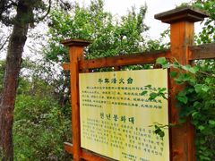 -帽儿山国家森林公园