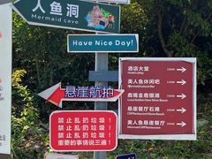 -杨梅坑