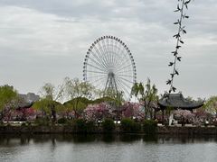 -无锡蠡湖国家湿地公园-蠡园