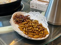 -野菌皇海景野生菌火锅(滨海大道店)