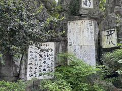 -白沙古井