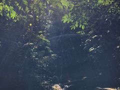 -西双版纳基诺山寨