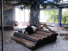 -海南热带野生动植物园
