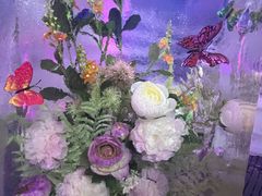 -海合安青岛极地海洋公园