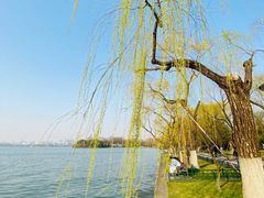-柳浪闻莺公园