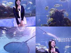 -重庆欢乐海底世界