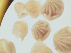 -上海大宁福朋喜来登酒店大堂吧(共和新路店)
