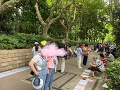 -人民公园-相亲角