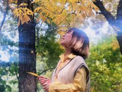 -三里屯东五街银杏大道