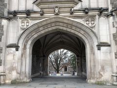 -普林斯顿大学