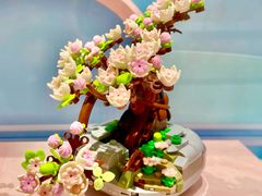 -KKV(深圳宏发大仟里店)