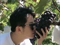 -白鹿原葡萄主题公园