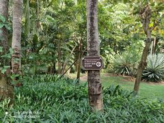 -三亚湾海居铂尔曼度假酒店