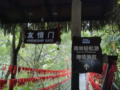 -呀诺达热带雨林