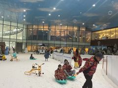 -世界之窗阿尔卑斯冰雪世界