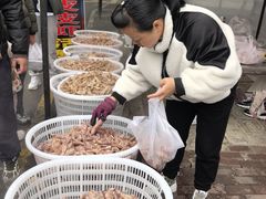 -花园菜市场