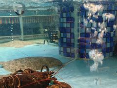 -怀德酒楼·粤菜·海鲜·茶点(宝安国际机场店)