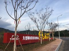 -三亚红色娘子军演艺公园景区