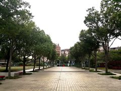 -新江湾城公园