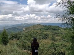 -长虫山生态公园风景林
