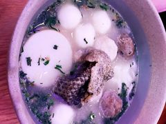 -美食小镇·观赏珍稀鸟类·长隆熊猫酒店