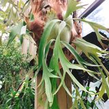  【攻略】跟着我一起玩转华南植物园