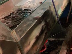 -花千代秘制烤鱼(曼哈顿店)