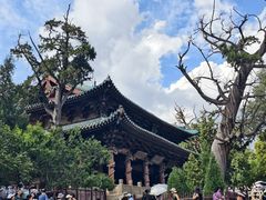 -晋祠公园