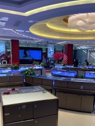 -中国黄金(北京旗舰店)