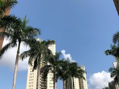 -三亚湾红树林度假世界(木棉酒店)