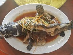 石斑鱼-神州好味道饭店