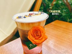 -大青树咖啡(大理古城店)