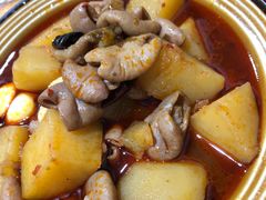 肥肠土豆-朱大嘴肥肠血旺(福字街店)