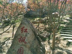 -广州市帽峰山景区