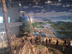 -自贡恐龙博物馆