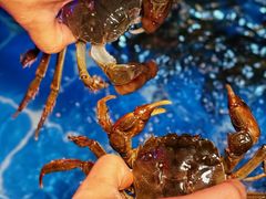 -二钳洞庭虾蟹·江湖菜(鹭岛店)