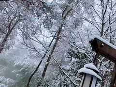 -天目湖涵田半山温泉