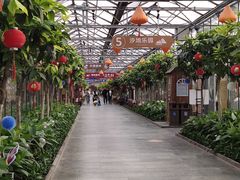 -南宫五洲植物乐园