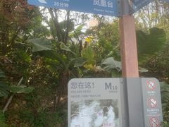 -梧桐山风景名胜区